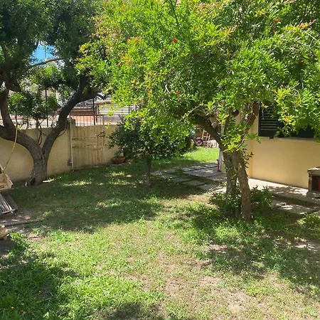 Sardinia -norvegia- أولبيا